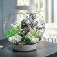 Аквариум biOrb Classic 15 MCR white, цвет белый 