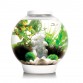 Аквариум biOrb Classic 30 LED white, объём 30л., светодиодная подсветка, цвет белый (72007) Аквариум biOrb Classic 30 LED white, объём 30л., светодиодная подсветка, цвет белый (72007)