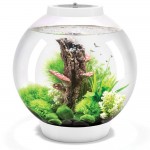Аквариум biOrb Classic 30 LED white, объём 30л., светодиодная подсветка, цвет белый (72007) Аквариум biOrb Classic 30 LED white, объём 30л., светодиодная подсветка, цвет белый (72007)
