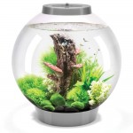 Аквариум biOrb Classic 30 MCR silver, объём 30л., цветная светодиодная подсветка, цвет Аквариум biOrb Classic 30 MCR silver, объём 30л., цветная светодиодная подсветка, цвет