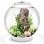 Аквариум biOrb Classic 60 LED white, объём 60л., светодиодная подсветка, цвет белый