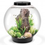 Аквариум biOrb Classic 60 LED black, объём 60л., светодиодная подсветка, цвет черный 
