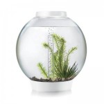 Аквариум biOrb Classic 30 LED белый