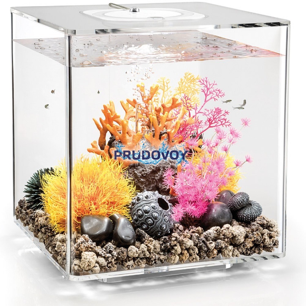 Аквариум biOrb CUBE 30 MCR clear, цвет прозрачный 