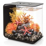 Аквариум biOrb FLOW 15 MCR black, цвет черный  (72031)