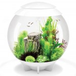 Аквариум biOrb HALO 60 LED white белый
