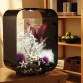 Аквариум biOrb LIFE 15 LED black, цвет черный 