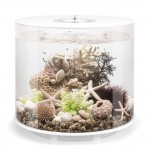 Аквариум biOrb TUBE 35 LED white, цвет белый