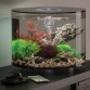 Аквариум biOrb TUBE 35 LED black, цвет черный