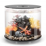 Аквариум biOrb TUBE 35 MCR black, цвет черный