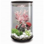 Аквариум biOrb TUBE 30 MCR black, цвет черный