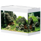 Аквариум в комплекте с оборудованием StyleLine 125 (белый)