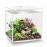 Набор морских ракушек, Sea shell set 3 natural