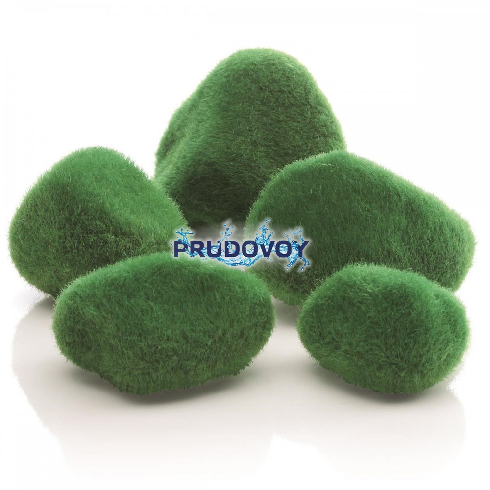 Галька покрытая мхом, Moss pebbles