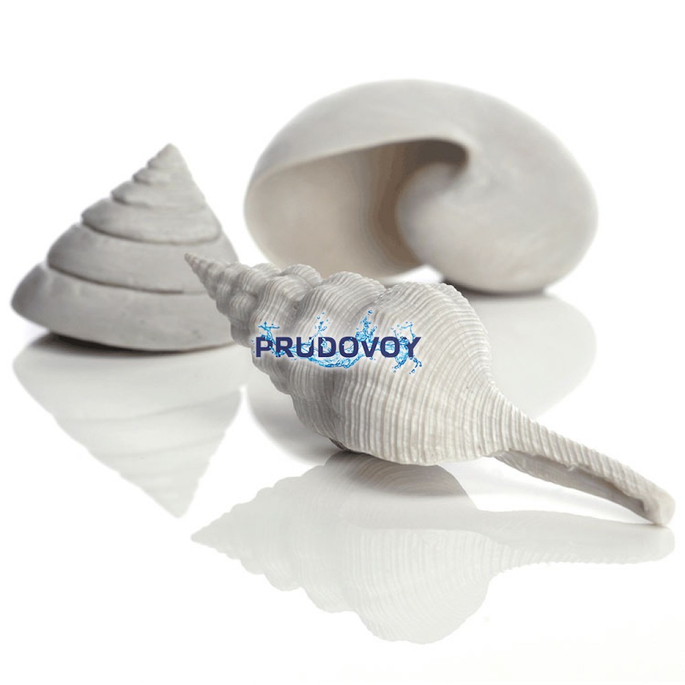 Набор морских ракушек, Sea shell set 3 white
