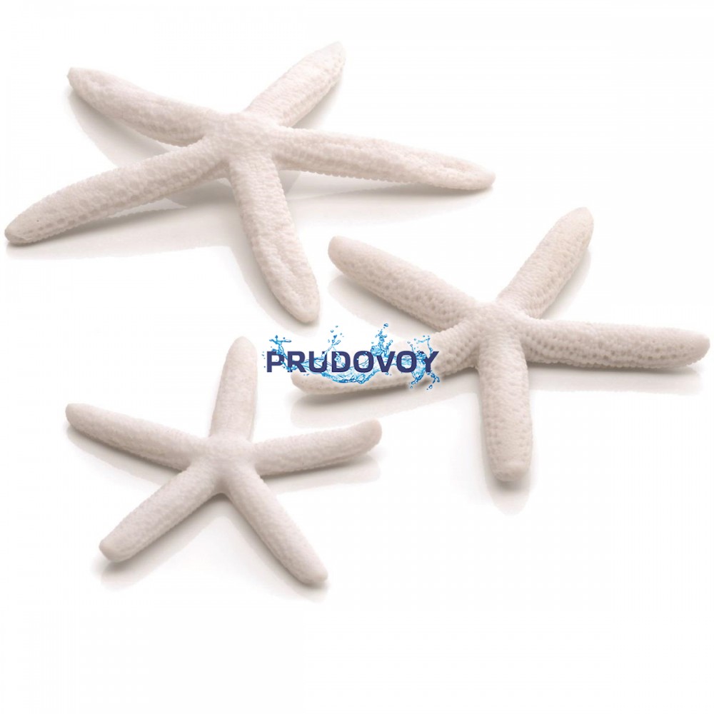 Набор белых морских звезд, Starfish set 3 white