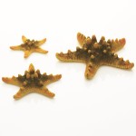 Набор жёлтых морских звезд, Starfish set 3 yellow (46135)