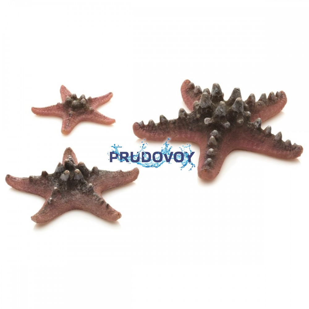 Набор розовых морских звезд, Starfish set 3 pink
