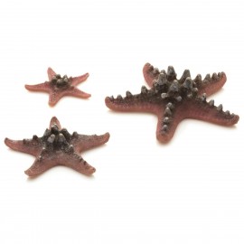 Набор розовых морских звезд, Starfish set 3 pink