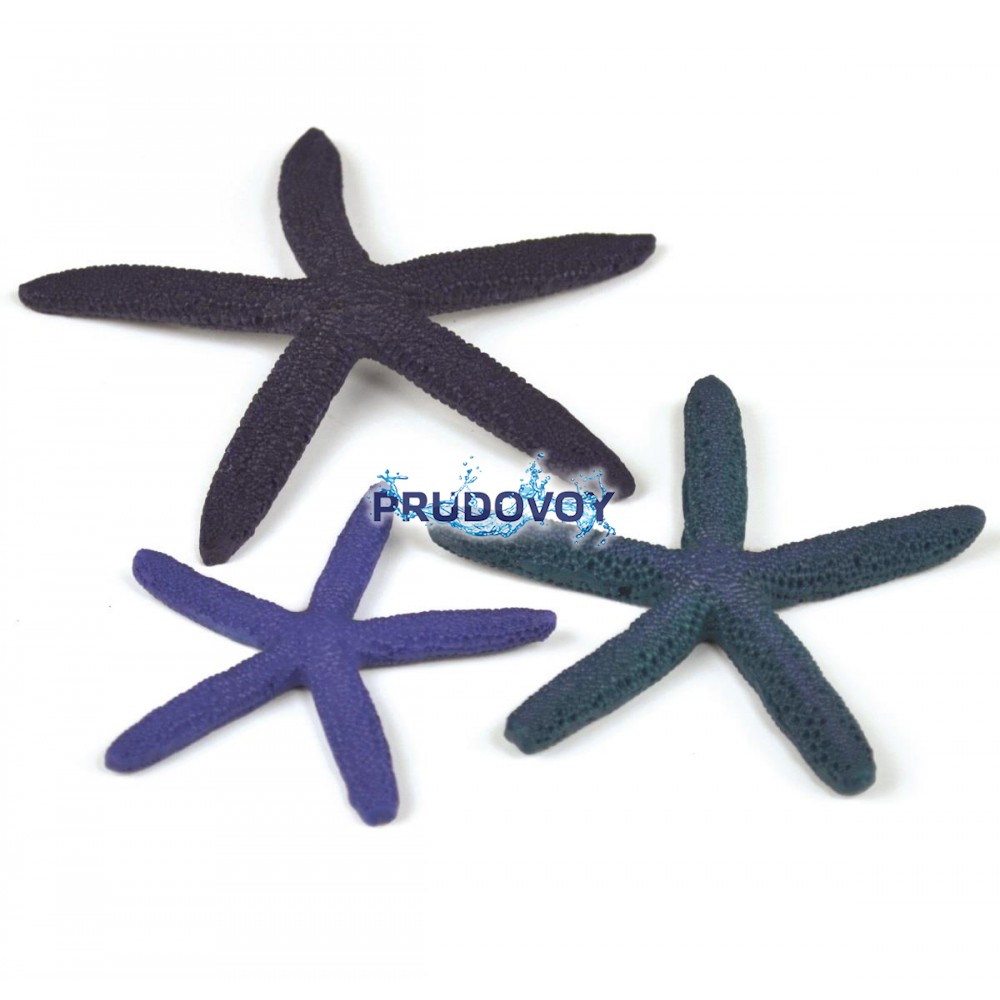 Набор синих морских звезд, Starfish set 3 blue
