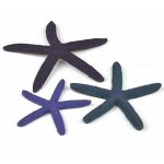 Набор синих морских звезд, Starfish set 3 blue