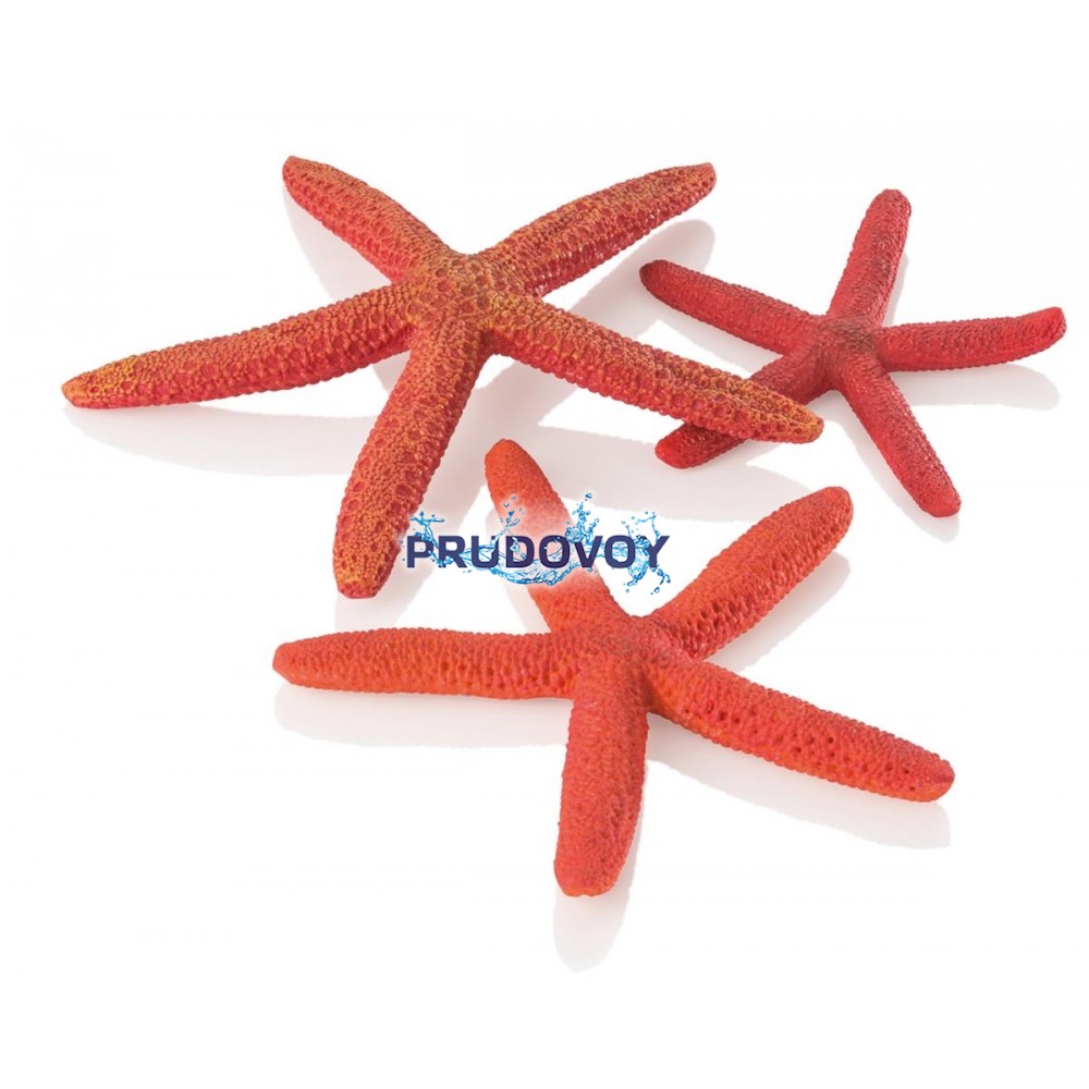 Набор красных морских звезд, Starfish set 3 red