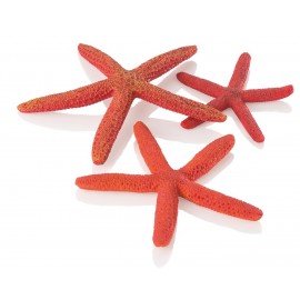 Набор красных морских звезд, Starfish set 3 red
