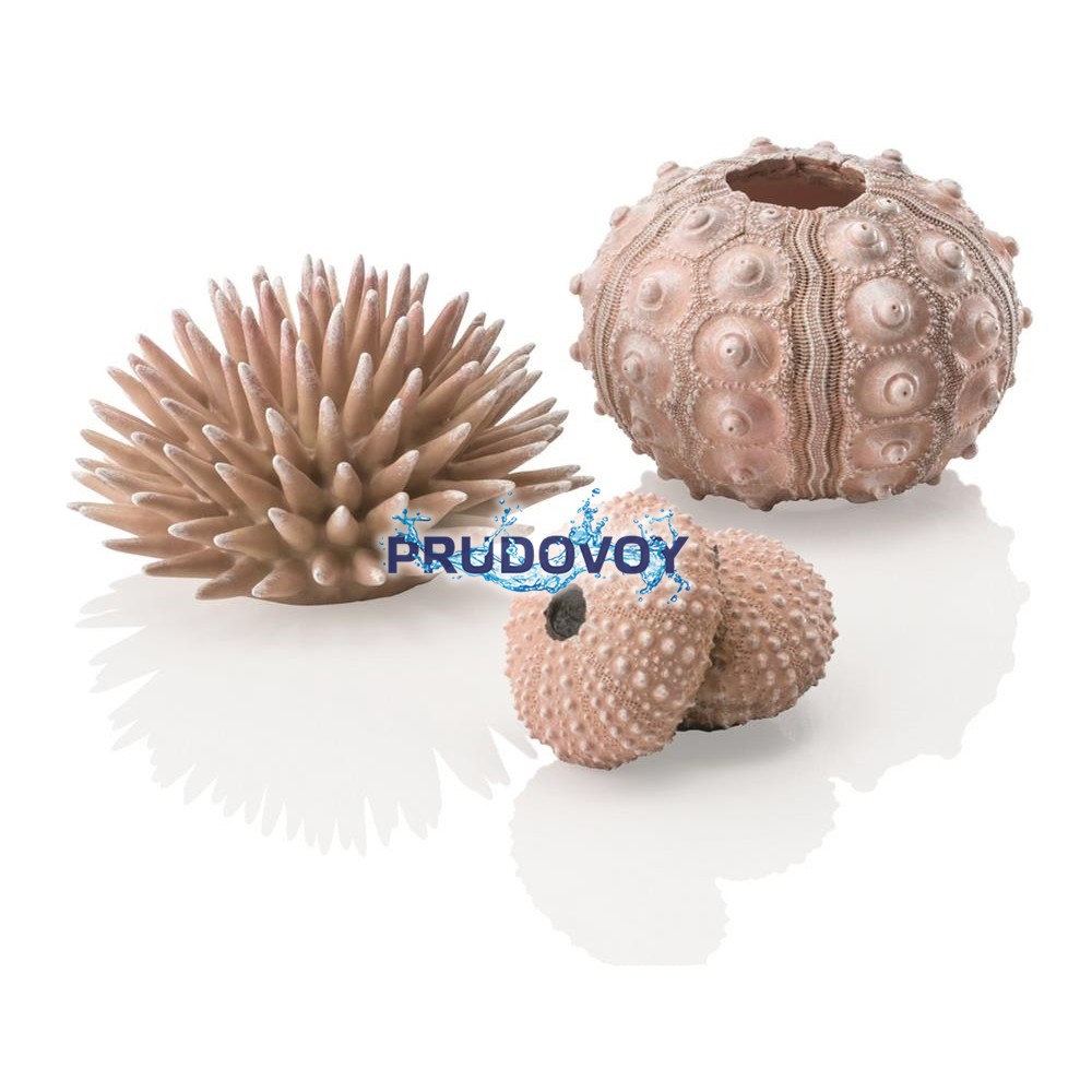 Набор декор. элементов Морской ёж, натуральный
