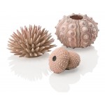 Набор декор. элементов Морской ёж, натуральный