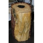 Крышка декоративная для блока из 4-х управляемых садовых розеток «Пень»