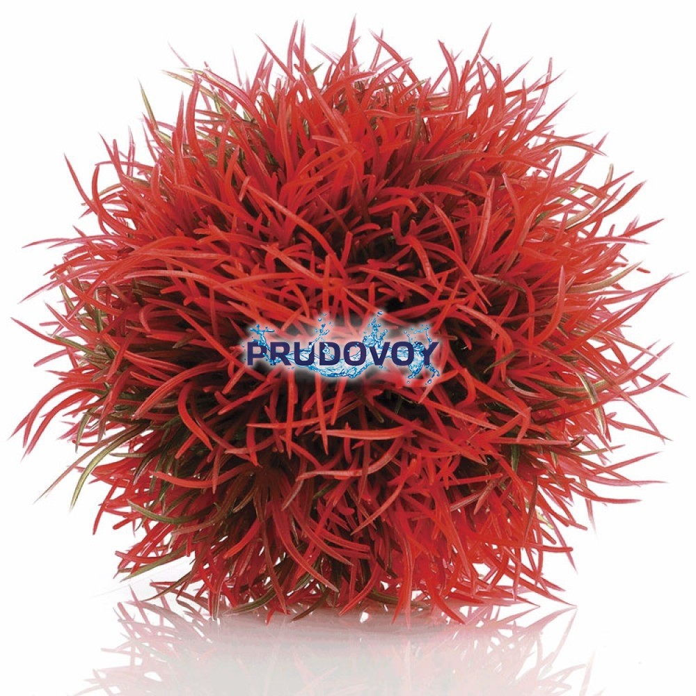 Красный водный шар, Aquatic colour ball red (46063)