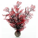 Малиновый морской веер, малый, Sea fan small crimson