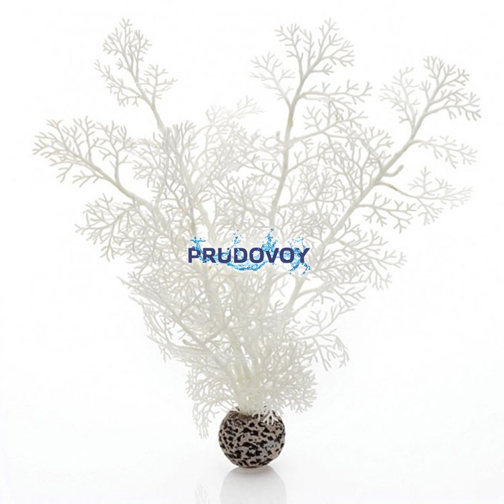 Белый морской веер, средний, Sea fan medium white