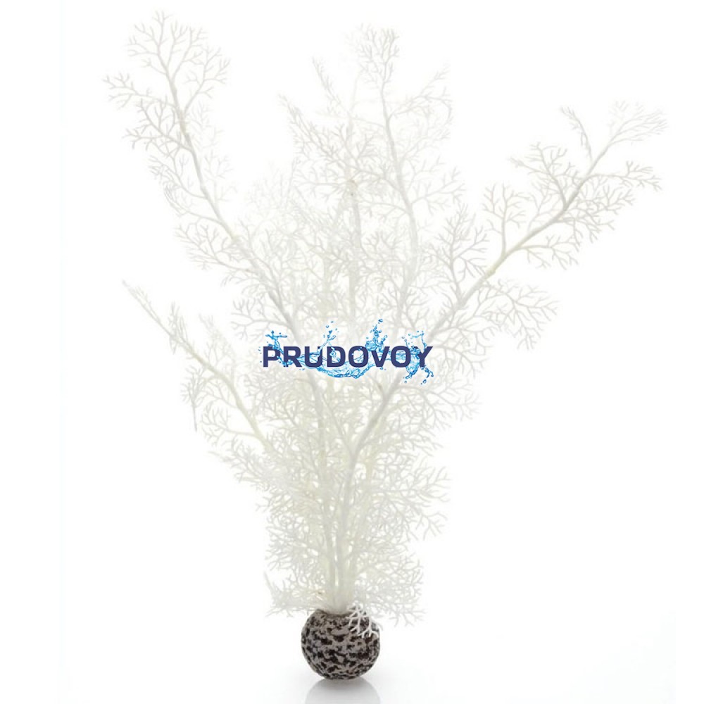 Белый морской веер, большой, Sea fan large white