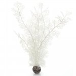 Белый морской веер, большой, Sea fan large white