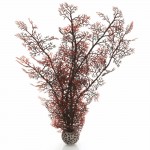 Малиновый морской веер, большой, Sea fan large crimson