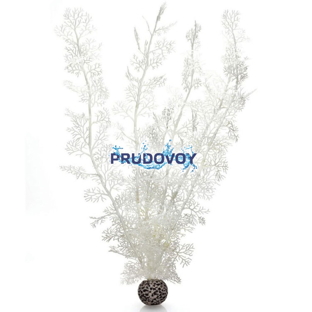 Белый морской веер, очень большой, Sea fan extra large white