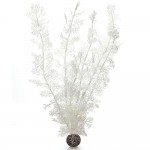 Белый морской веер, очень большой, Sea fan extra large white