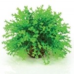 Зеленый цветочный шар, Flower ball green 