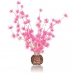 Бонсай, розовый, biOrb Bonsai ball pink (55067)