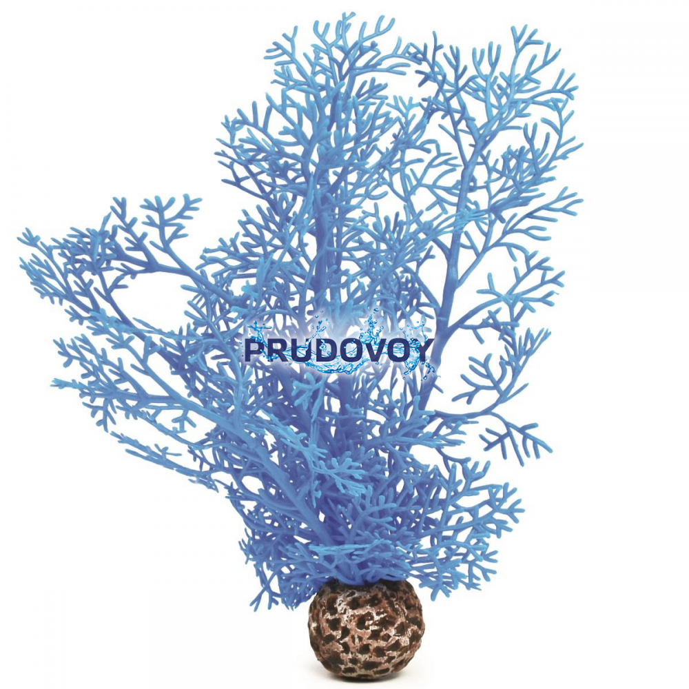 Синий морской веер, малый, Sea fan small blue (46091)