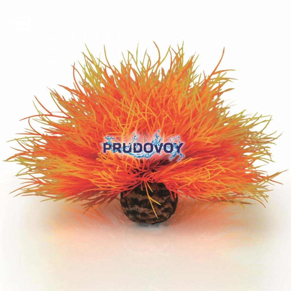 Огненная морская лилия, Aquatic sea lily flame  (46085)