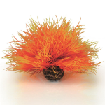 Огненная морская лилия, Aquatic sea lily flame  (46085)