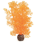 Оранжевый морской веер, малый, Sea fan small orange