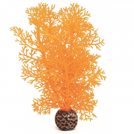 Оранжевый морской веер, малый, Sea fan small orange