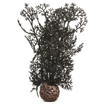 Черный морской веер, малый, Sea fan small black