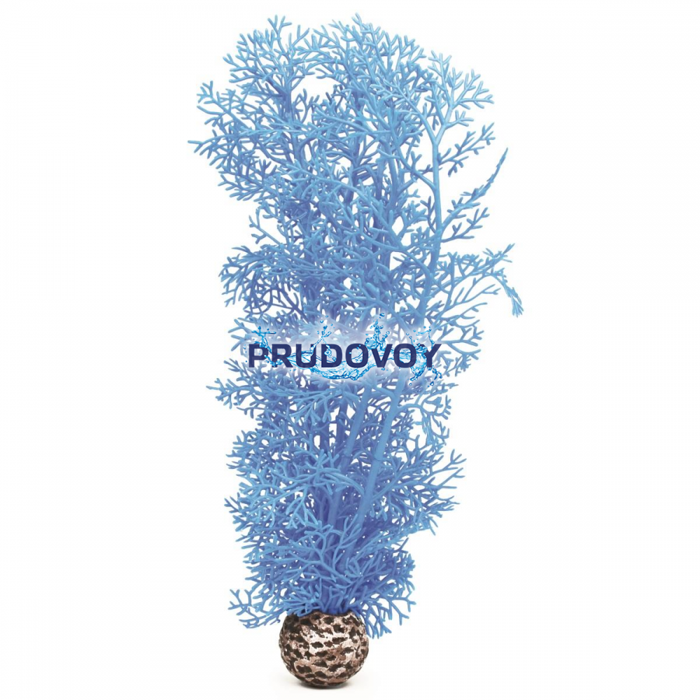 Синий морской веер, средний, Sea fan medium blue