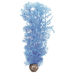 Синий морской веер, средний, Sea fan medium blue