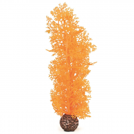Оранжевый морской веер, средний, Sea fan medium orange