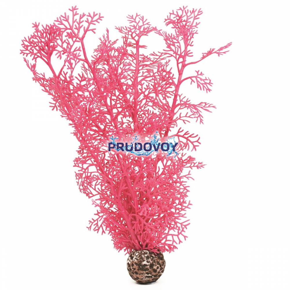 Розовый морской веер, средний, Sea fan medium pink